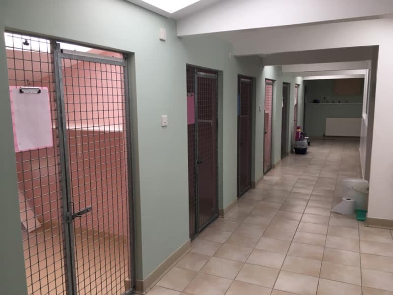 A corridor of mesh-fronted boarding pens with tiled floor and sage-green walls